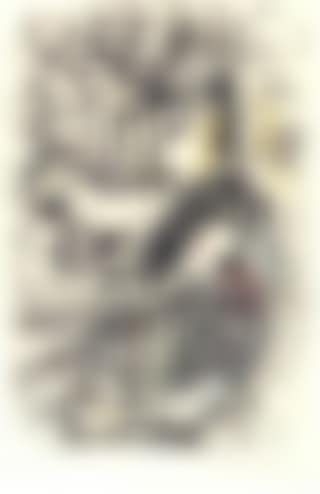 Les enchanteurs (preview)