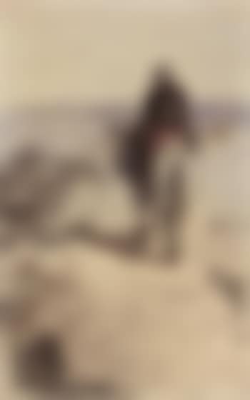 Artist's brother on a mule (preview)