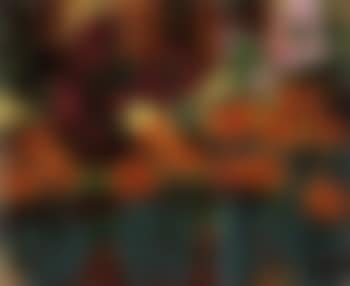 Feuerlilien und rosen - Tiger-lilies and roses (preview)