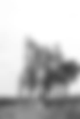 French cuirassier and a mounted British officer in khaki (preview)