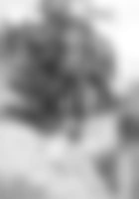 Mountain artilleryman (preview)
