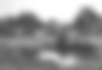 Meadow pool (preview)