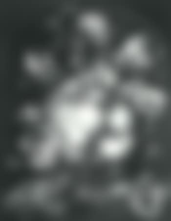 Still life of flowers with snails, butterflies (preview)