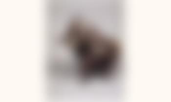 Elephant (preview)