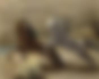 Cavalli greci - Greek horses (preview)