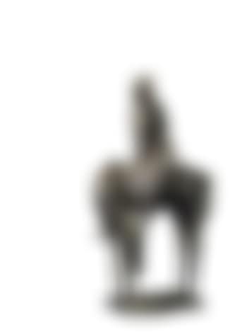 Piccolo cavaliere - Young rider (preview)