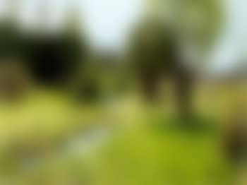 Les moissons (preview)