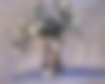 Vase de fleurs (preview)