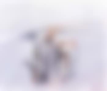 Spa cheval IV (preview)