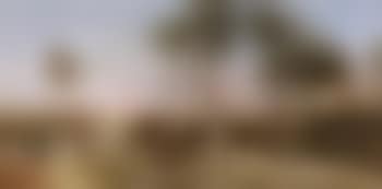 Figures with camels by the Pyramids (preview)