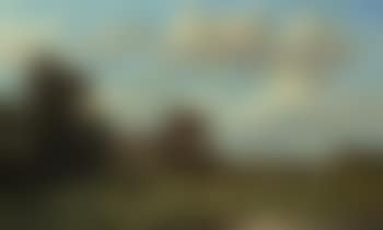 Cattle in a sunlit meadow (preview)