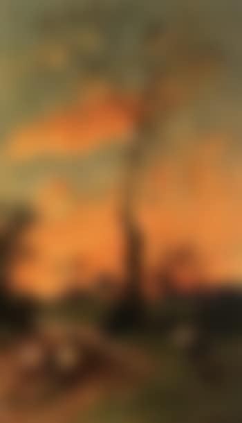 Ondergaande zon (preview)