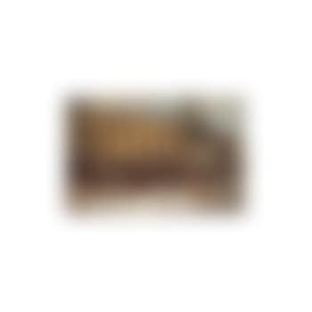 Outside the White Lion Hotel and tavern (preview)