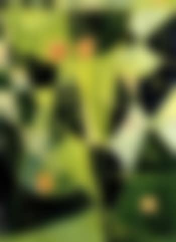 Green mask (preview)