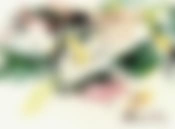Composition (preview)