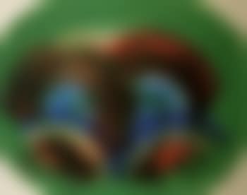 Red palm (preview)