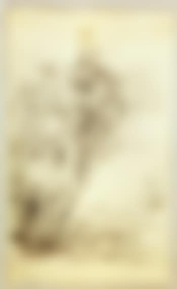 Trees in landscape (preview)