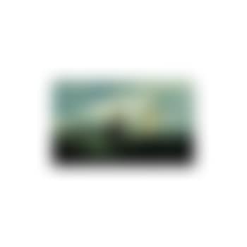 Off the coast (preview)