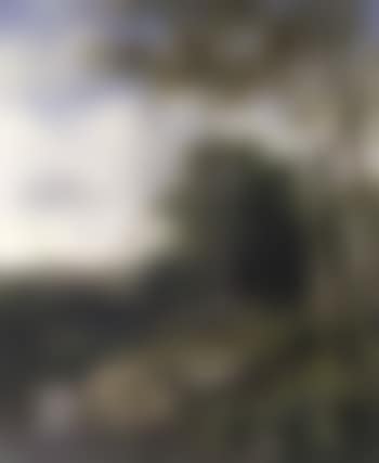 Rest at the edge of the forest (preview)