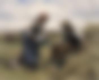 Midday break (preview)