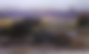 Buffalo along the riverbank (preview)