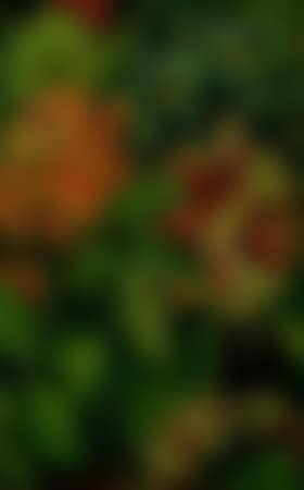 Flowers in a glass (preview)