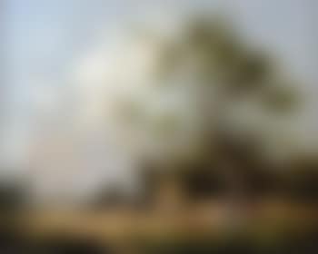 Haymaking (preview)