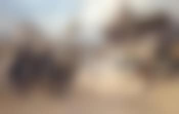 Before the joust (preview)