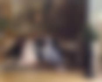 Afternoon visit (preview)