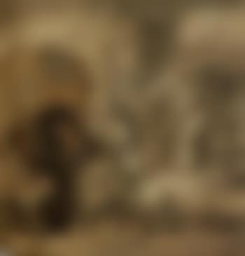 Peasant interior (preview)