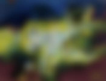 Composition (preview)