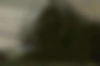Wooded landscape (preview)