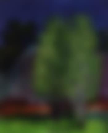 Greenness in summer (preview)