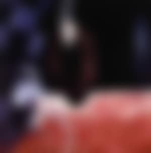 Suzanne et les vieillards - peinture occidentale (preview)