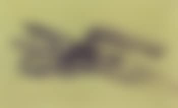 Nu violet (preview)