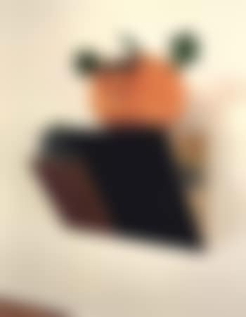 Untitled, cabbage, pumpkin, cabbage no 1 (preview)