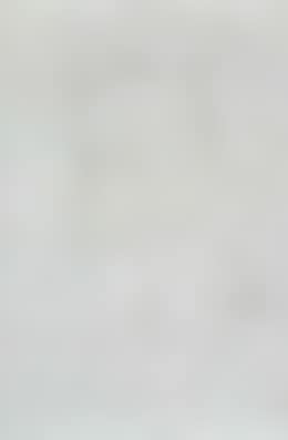 White abstract, Bertie Wooster (preview)