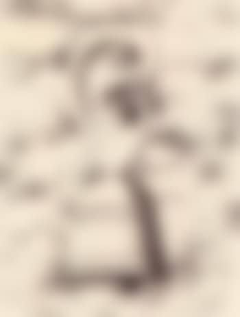 La lecon de musique (preview)