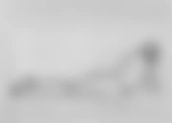 Reclining female nude (preview)