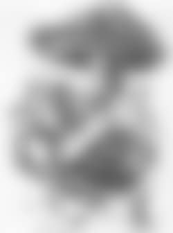 Cowboy study with sombrero (preview)