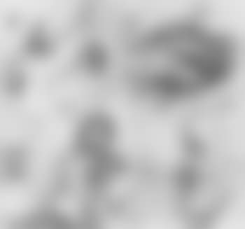Etudes (preview)