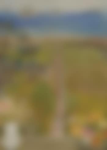 View from a window - path to the coast (preview)