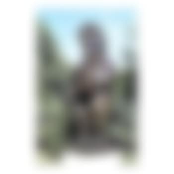 Roman warrior (preview)