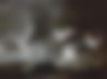 Flock of seagulls flying above choppy waters (preview)