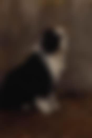 Heavy Weather, an Old English Sheepdog (preview)