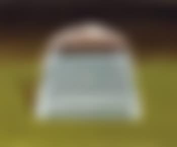 Banana box (preview)
