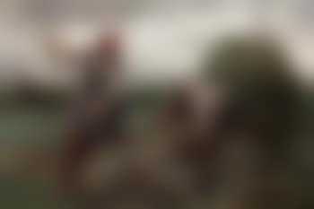 Haymaking (preview)
