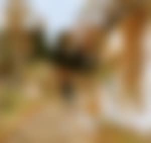 La gardienne d'oies (preview)