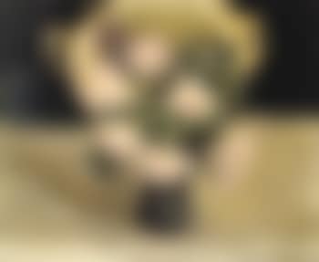 Fleurs (preview)