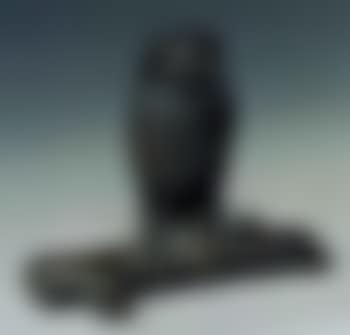 Hibou sur une branche (preview)